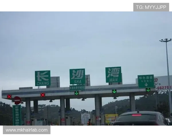 欧博登路入口附近的公共交通线路推荐，出行更便捷